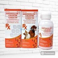 Canixetin Suspension Amoxicillin+Colistin|60ml Read Description for Pet Dog Cat