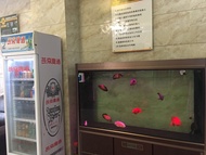 Super 8 Hotel (Beijing Yanqing Global Xinyi Shopping Mall)