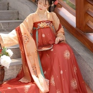 Hanfu Fuyao Skirt - Embroidered Print with Traditional Design