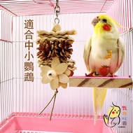 [Parrot Play Country] Parrot Toys Made In Taiwan Natural Bite Supplies Bird Strings Pine Cone Balls 