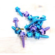 GR5 titanium salaya screw attached to fairing for yamaha series