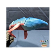 Educational Whale Toy for Children Flexi Humpback Whale biru Baby Toys Kids Toys Sensory Play
