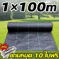 ✅ไม่ต้องกำจัดวัชพืช✅พลาสติกคลุมดิน ผ้าคลุมวัชพืช พลาสติกคลุมหญ้า พลาสติกคลุมวัชพืช 1mx10m 1mx20m  1m
