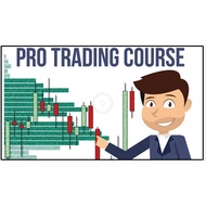 Trader Dale Volume Profile ( Video Course )