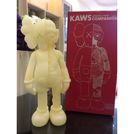 Dissected companion 53cm Anatomy Trendy Doll Figure Decoration Model MAND KAWS