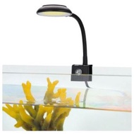 Mini LED Fish Tank Clip Light USB Aquarium Light 5W