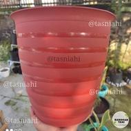POT PIRUS TIRUS 30 CM POT TIRUS JUMBO 30 TINGGI