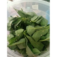 Tapai Pulut Daun Getah @ Daun Jambu Sedap Manis (100 biji)