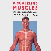 Visualizing Muscles: A New Ecorche Approach to Surface Anatomy