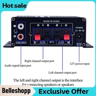 Belleshopp-my AK170 Audio Power Amplifier Portable Sound Speaker Amp for Car and Home