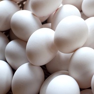 Kampung Eggs / Pearl eggs 30 pcs per tray