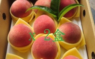 【預購！桃園復興鄉的初夏水蜜桃 10顆裝(2斤)x2盒】高山水蜜桃 果肉細緻 香甜多汁