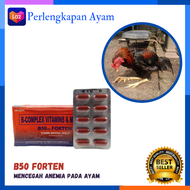 B50 Forten B50 Doping Ayam B50 Forten Obat Ayam Multifitamin Ayam B50 Forten