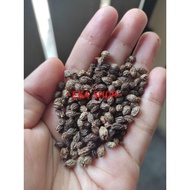 Dried CALIFORNIA Papaya Seeds 50GR