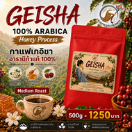 Specialty Geisha Coffee – Honey Process | Medium Roast กาแฟดอยผาหม่น อาราบิก้า 100% สายพันธุ์เดี่ยว 