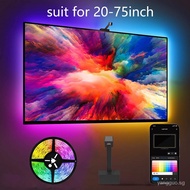 Envisual TV LED Backlights with Camera, RGBIC Bluetooth TV Backlights for 20-75 Inch TV and Computer Gaming Room Atmosphere Lights, Works with App Control, Music Sync TV Lights