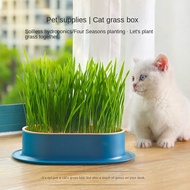 New Style Cat Grass Potted Plant Lazy Soilless Hydroponic Planting Box Pot Wheat Seed Cultivation Plate Cup Set