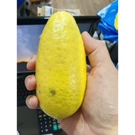 香水柠檬 无农药 Fragrant lemon 100% pesticide free~