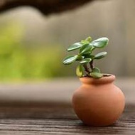 1/3pcs Mini Terracotta Pottery Planter Flower Pots Succulent Nursery Pots For Flower Plants Crafts