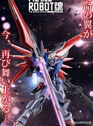 全新 Metal Robot魂 destiny gundam 命運 spec II