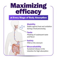 Labo Nutrition Labo Femme Iron Complex Supplement Gentle On Stomach No Constipation Vegan