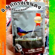CP Cross Bird Food Gray