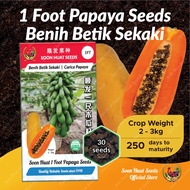 Soon Huat Benih Betik Sekaki 1 Foot Papaya Seeds(It's a seed, not a plant!)