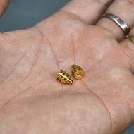 Adapter converts standard MMCX to MMCX for Senn IE200,300,600,900 AKG N5005.