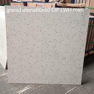 GRANIT 60x60 ATENA EIP LWH