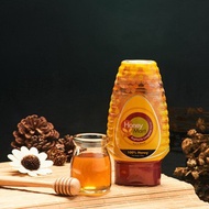 余仁生龙眼蜂蜜 Eu Yan Sang Honey Mart Euphoria Longana Honey 500g