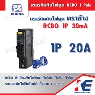 CHANG RCBO เซอร์กิตกันไฟดูด 1P 16A 20A 32A 40A 1Pole 30mA 10kA รุ่น RO1 Plug-on ช้าง ตราช้าง เซอร์กิ