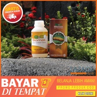 Obat Thalasemia - Trombofilia Sindrom Mielodisplasia Polisitemia Vera Mieloma Multipel Malaria Limfo