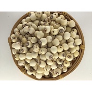 Lotus Seed Lotus Seed Lotus Seed