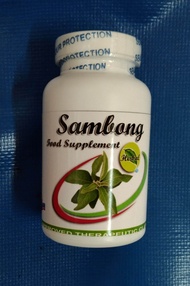 Sambong Herbal Capsule 90pcs