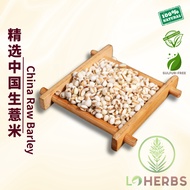 Loherbs Chinese Raw Barley Barli [Raw Barley Barli [Raw Barli]