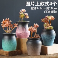 Succulent Flower Pot Ceramic Large Personality Stoneware Breathable Large Diameter Succulent Small Flower Pot Generation