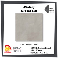 Granite 60 X 60 | Dsydney Series Roman Granite Floor Granite