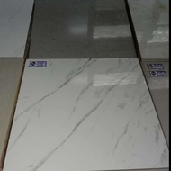 garuda tile 60x60 granit