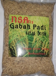 Gabah Padi Pakan Ayam Jago