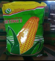 Benih jagung pertiwi 3 5kg & pertiwi 2 5kg / BENIH JAGUNG HIBRIDA PERTIWI 3 KEMASAN 5Kg