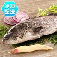 石斑魚 青斑650g 冷凍配送 [CO17060305]健康本味