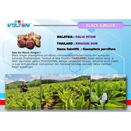 ❈✌☼🔥HALAL🔥 VOLTEN DR4 VCAFE Premium Brazilian Arabica Coffee / Original Ekstrak Kunyit Hitam (20 sac