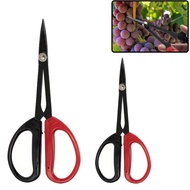 Carbon Teel Grape Cior Gardena Long Pointed Garden Clipper Pruning Hear Gardening Bonai