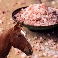 Himalayan Salt For Horses - 100% Natural Mikes Instinct Granular Pink Himalayan Rock Salt - Large...