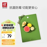 双立人（ZWILLING）Now TPU砧板抗菌款切菜案板切菜切水果厨房用双面菜板 青柠色