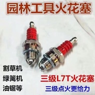 Spark Plug Agricultural Machinery Microcultural Machinery Polishing Machine Lawn Machine 168F170/F7T