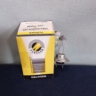 H7 12V 100W bulb