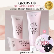Growus Damage Therapy Treatment EX_220g