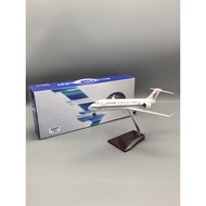 1: 100 with Light 34cm National Airlines C909 Simulation Passenger Aircraft Aircraft Model Aviation 