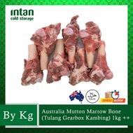 Australia Mutton Marrow Bone (Tulang Gearbox Kambing)